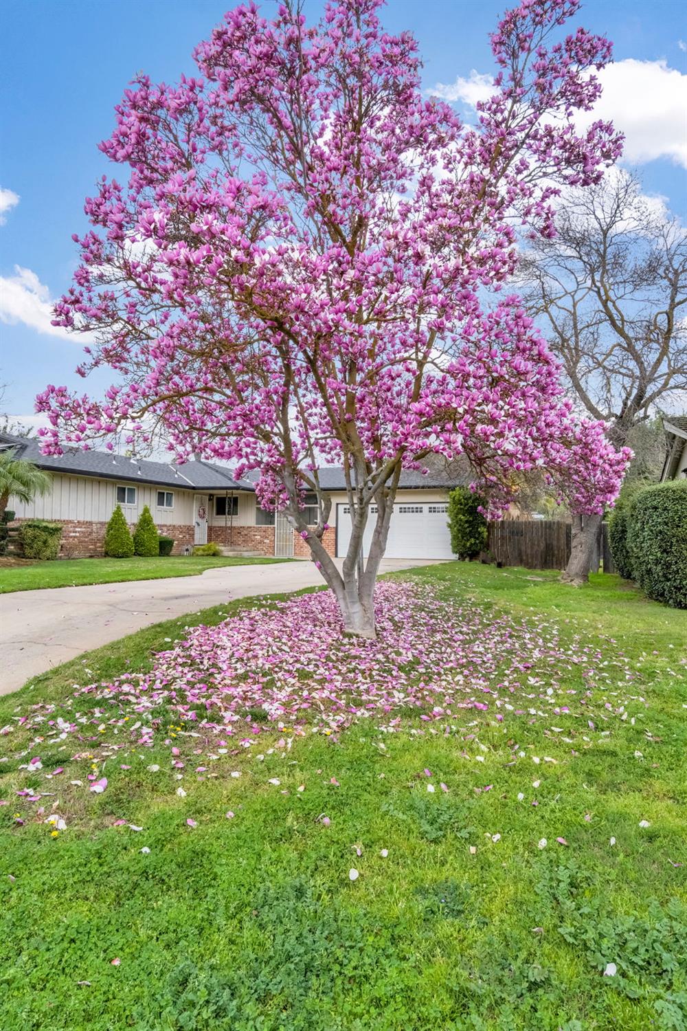 172 W Scott Ave, Fresno, CA 93704